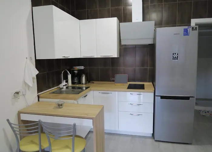 Aida ノヴィ・ヴィノドロスキー